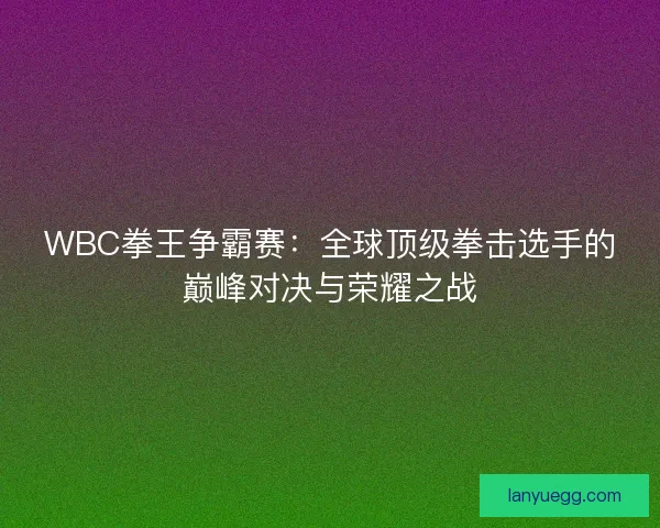 WBC拳王争霸赛：全球顶级拳击选手的巅峰对决与荣耀之战